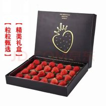 【福瑞鲜】顺丰空运丹东99红颜草莓大果35g礼盒装 甜蜜多汁 细腻香甜(28粒)