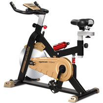 伊吉康雷神 健身车 动感单车 家用静音室内运动健身器材