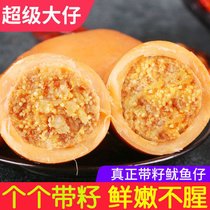 即食大个带籽鱿鱼仔零食麻辣墨鱼仔炭烤海兔香辣鱿鱼须小吃200(味500g)