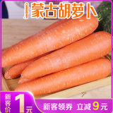 内蒙古红萝卜巴音乡胡萝卜新鲜10斤水果萝卜脆甜生吃红心沙地现挖(3斤)