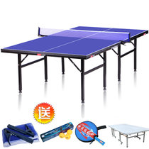 世霸龙比赛标准折叠式乒乓球台可折叠 赠送乒乓网架和乒乓球桌防尘罩 s8206