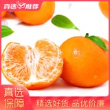 广西武鸣沃柑桔子5斤新鲜水果包邮当季整箱特产大果蜜桔贡柑橘子