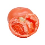 聚优嘉【真选定制】攀枝花米易番茄20-25个小果5斤装 新鲜采摘 自然成熟 酸甜多汁  顺丰包邮