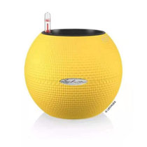 德国进口Lechuza自动吸水懒人创意圆球形 状塑料储水桌面智能花盆(鹅黄色)