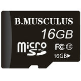 曼卡路（B.Musculus）16G手机存储卡内存卡TF卡（Class10） 