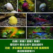 马来螺苹果螺观赏螺活体除藻螺鱼缸清洁吃鱼屎工具水族淡水螺套餐(湖蓝色 默认版本)