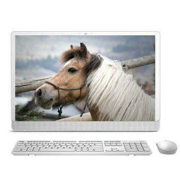 【戴尔3455r-6248w一体机】戴尔(dell) 灵越 ins3455r系列 23.