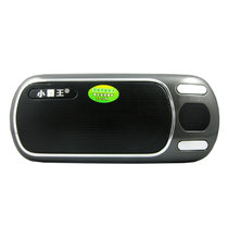 小霸王（subor）PL-420便携式插卡音箱 FM收音机 便携式插卡音响 移动音箱 黑色