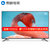 whaley/微鲸 WTV55K1X/55K1T PRO版 55英寸 4K高清 智能网络led液晶平板电视机 客厅电视