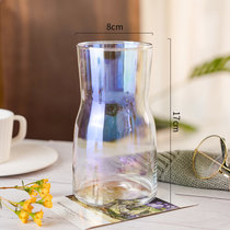 北欧ins风简约玻璃花瓶水培鲜花插花小花瓶客厅餐桌水养创意摆件(大)