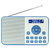 熊猫(PANDA) DS-172 数码音箱 精致小巧 功能强大 FM收音 蓝色