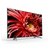 索尼（SONY） KD-75X8500G 75英寸 大屏4K超高清 智能液晶平板电视机2019年新品(黑 75英寸)
