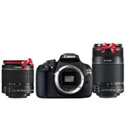 佳能（Canon） 1200D 双镜头套装（EF-S 18-55mm f/3.5-5.6 IS II&EF-S 55-250mm f/4-5.6 IS II）