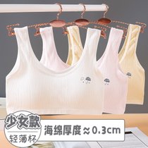 SUNTEK发育期胖女孩内衣发育期学生二阶段运动背心式大胸显小无钢圈胸罩(肤+肤+肤【健康纯棉亲肤三件装】 L(适合80-100斤)标准码)