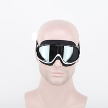 新款大框网红游泳镜韩款ins男女通用防水防雾高清电镀泳镜(黑色+银)
