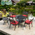 幽之腾 户外桌椅花园室外露天阳台休闲庭院五件套烤炉铸铝家具(一桌四椅(含垫))