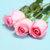 花港码头 鲜花超市 单枝玫瑰 选用云南A级鲜花花材 满59元包邮(苏醒粉色)