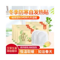 冬季保暖自热鞋垫防寒暖脚发热足贴男女用暖脚贴艾叶生姜配方热帖(暖足贴)