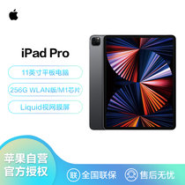 Apple iPad Pro 11英寸平板电脑 2021年新款 WLAN版/M1芯片Liquid视网膜屏  深空灰 WLAN版 256G