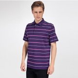 格斯帝尼（GESSDIMER）2013夏装新款 男士休闲翻领短袖T恤13426(紫色 L)
