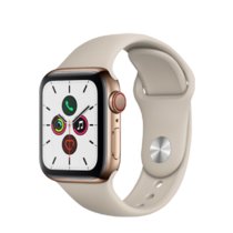 （Apple） 苹果Apple Watch Series 5智能手表iwatch5苹果手表(金色不锈钢表壳+卵石运动表带 40mm GPS+蜂窝网络款)