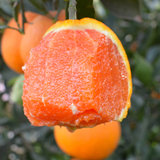 峡江传橙中华红橙一级果75mm以上大果5斤装 富含丰富花青素 酸甜可口 产地直发 顺丰包邮