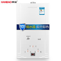 韩宝（HANBAO）大容量10升速热燃气热水器 家用煤气强排式天然气液化气热水器 DSY01不包安装