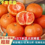 【爆甜砂糖橘】老树新鲜砂糖桔 新鲜现摘鲜甜皮薄冰糖桔(带箱7斤装)