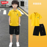 男童套装夏装童装新款儿童男孩韩版短袖POLO衫中裤2件套(110 黄色)