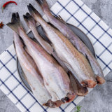 明太鱼新鲜冷冻海鱼无头鱼烧烤棒棒鱼商用雪鱼深海鳕鱼整条辅食