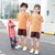 朴朴米 儿童短袖背心运动速干套装户外跑步训练服(短袖运动套装-咖啡橙 150cm)