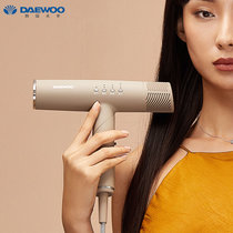 韩国大宇(DAEWOO)吹风机 家用电吹风宿舍便携吹风筒 大功率负离子不伤发孕妇儿童可用HD01(摩卡棕)