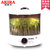 爱家乐（AKIRA）KB-SH23/SG 豆芽机全自动家用豆苗机恒温生豆芽机可做家用加湿器