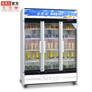 安淇尔拉门展示柜 冷藏立式饮料啤酒超市商场鲜奶展示柜冰箱(LC-1600)