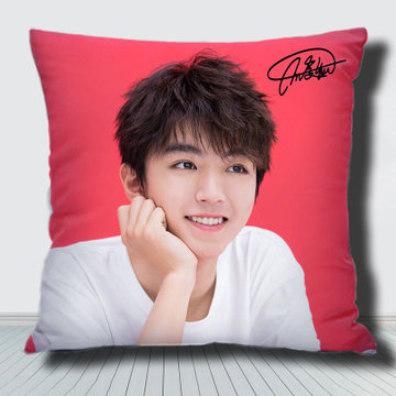 王俊凯抱枕定制礼物靠垫动漫明星玩偶应援双面照片tfboys可爱午睡
