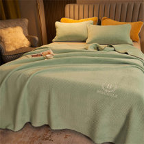 善纯牛奶绒法莱绒三层夹棉功能毛毯 石清150*200cm+枕套一对 多功能毯