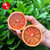 血橙香橙四川爱媛血橙橙子2/5/8斤装香甜橙子新鲜水果产地直发(自定义 2斤装)