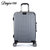丹爵(DANJUE)新款铝框拉杆箱 男女通用万向轮行李箱旅行箱 多色可选D28(灰色 26英寸)