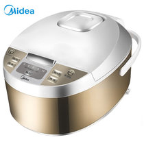 美的（Midea）MB-WFD4015电饭煲电饭锅10小时预约4L电饭煲金属拉丝机身黄晶内胆家用电饭煲 Midea