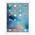 Apple iPad Pro平板电脑（12.9英寸/128G/金色/WiFi版）ML0R2CH/A