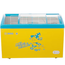 香雪海SD/SC-266YA 266升单温玻璃门冷柜 冷冻冷藏展示冰柜