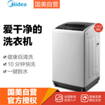 美的(Midea)MB65V31 6.5公斤 波轮洗衣机 智能童锁 8大洗衣程序 水位随心调节 智利灰