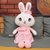 新款背带兔毛绒玩具 大号情侣兔子玩偶公仔 娃娃抱枕女生生日礼物抱枕毛绒公仔(粉色 115厘米（1.6kg）)