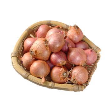 东北毛葱农家种植小洋葱鬼子葱红葱头新鲜小毛葱洋葱一份5斤包邮(2500