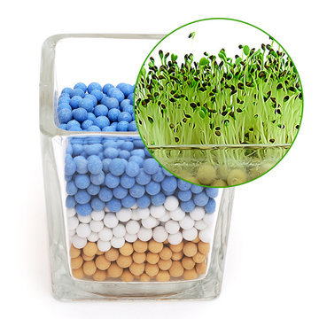 生态e园 负离子二代迷你桌面绿植(爱情草)