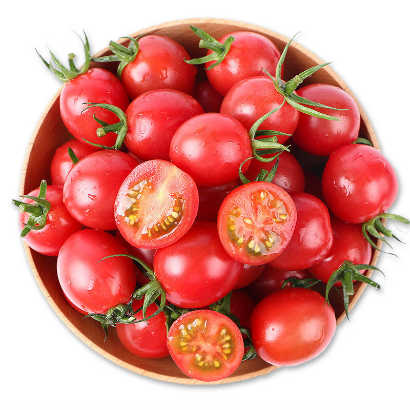 小番茄十大品种图片
