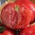 【顺丰德邦空运】新疆沙瓤西红柿 新鲜时令水果西红柿 5斤家庭装(5斤)