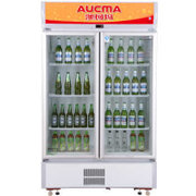 澳柯玛(AUCMA)SC-609 609升单温冷藏立式双门展示冰柜冷柜商用冰箱陈列柜(黄色)
