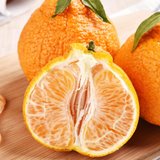 杞农优食四川丑橘不知火约4.5kg家庭装中小果（70mm起） 肉质软嫩 风味清甜