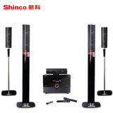 新科(Shinco) S1 5.1家庭影院音响套装客厅家用电视音响音箱低音炮(黑色)